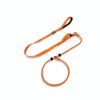GIAHAND Professional Training P-chain Dog Leash with Double Handles for Anti-pulling - Suitable for Small, Medium and Large Dogs