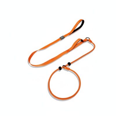 GIAHAND Professional Training P-chain Dog Leash with Double Handles for Anti-pulling - Suitable for Small, Medium and Large Dogs