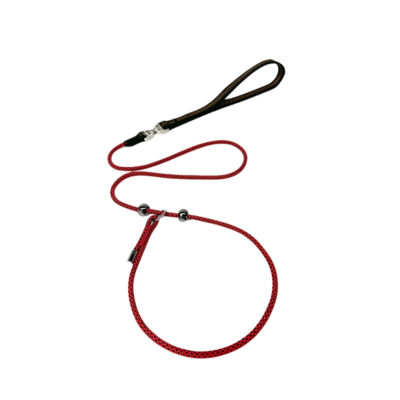 Show-Grade P-Chain Dog Leash - Anti-Pull & Anti-Tangle, for Large & Small Dogs | Professional Training P-Rope